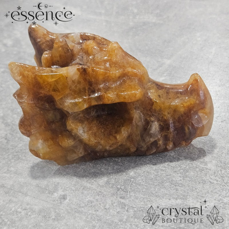 Large Golden Healer Quartz Dragon Head (631g)