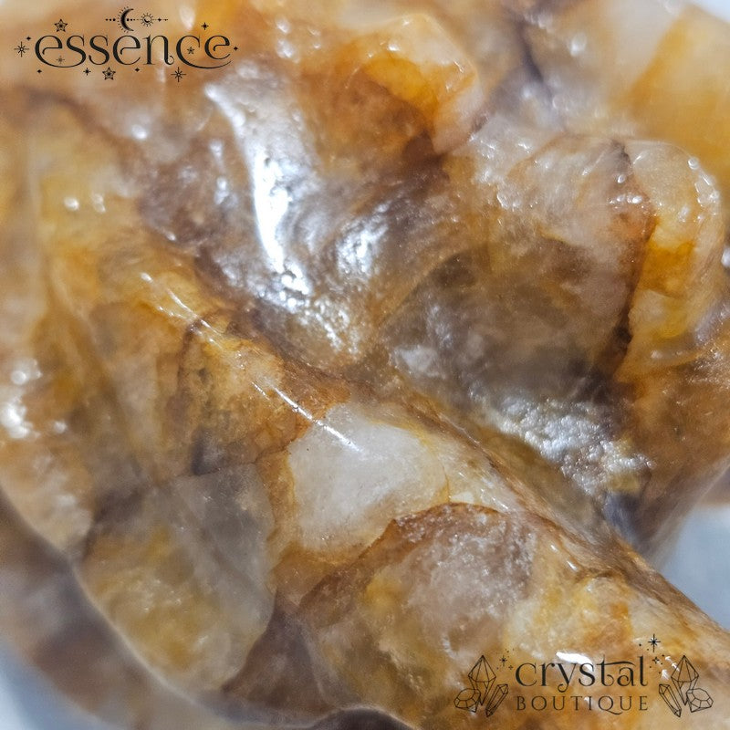 Large Golden Healer Quartz Dragon Head (631g)