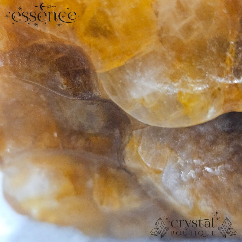 Large Golden Healer Quartz Dragon Head (631g)