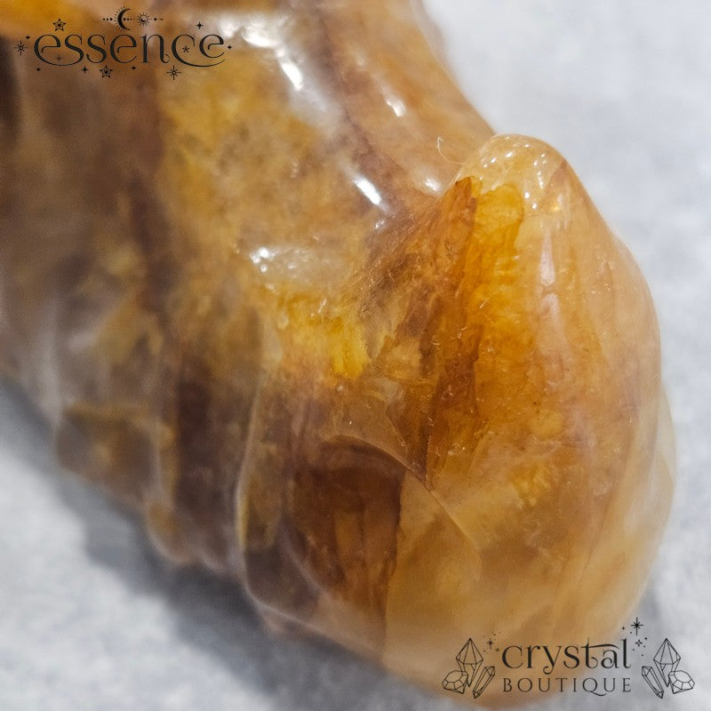 Large Golden Healer Quartz Dragon Head (631g)