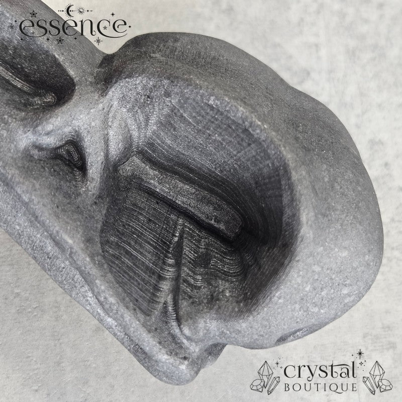 Shungite Raven Skull 253gms