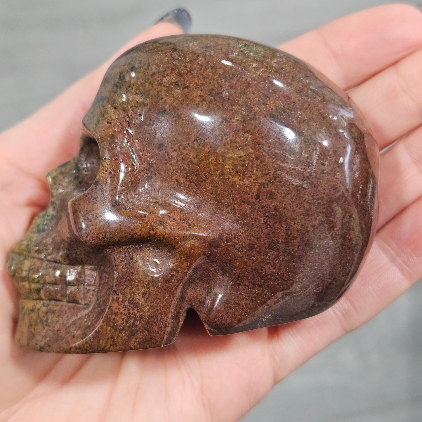 Ocean Jasper Skull- Ancient Grove