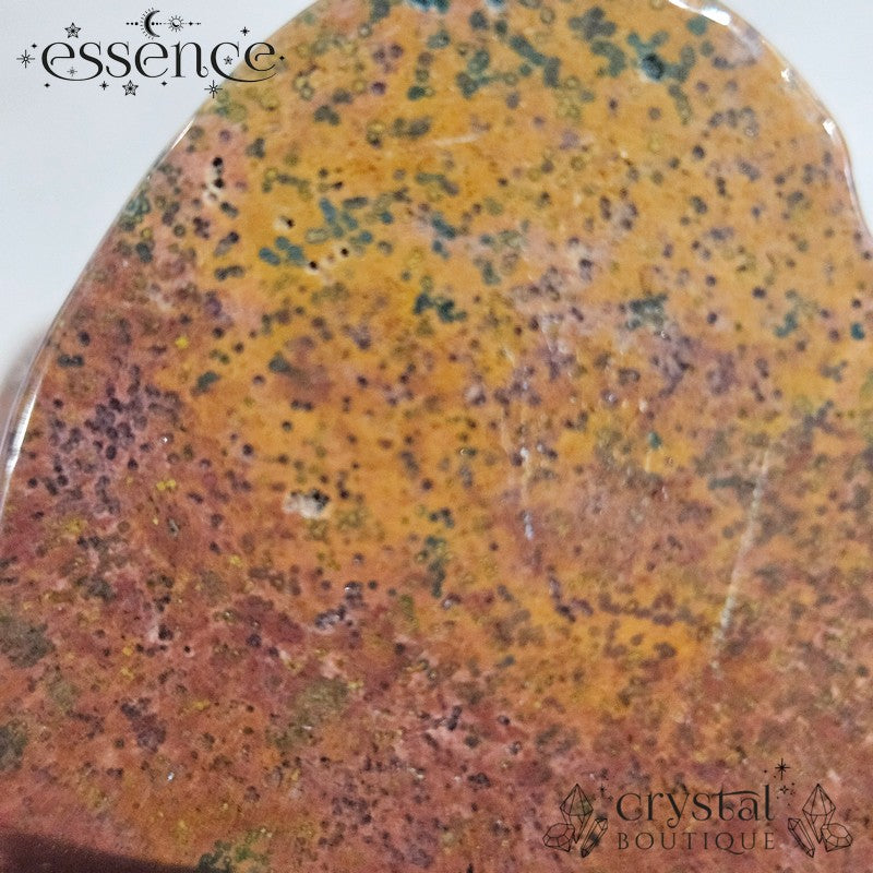 Ocean Jasper Skull- Ancient Grove