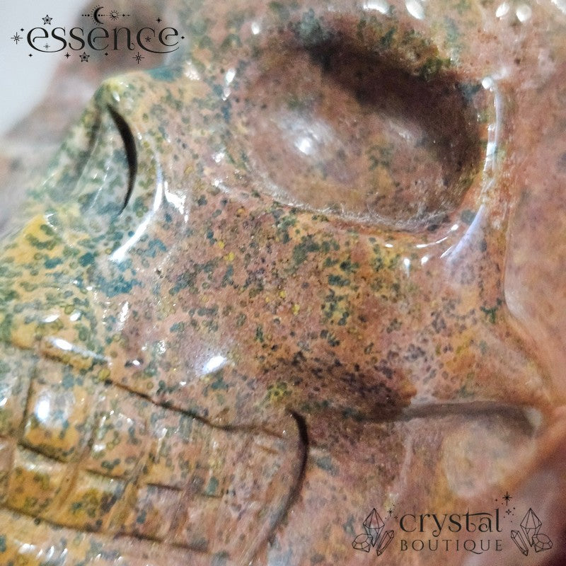 Ocean Jasper Skull- Ancient Grove