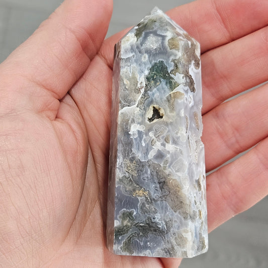 🌿 Woodland Moonlight | 116g