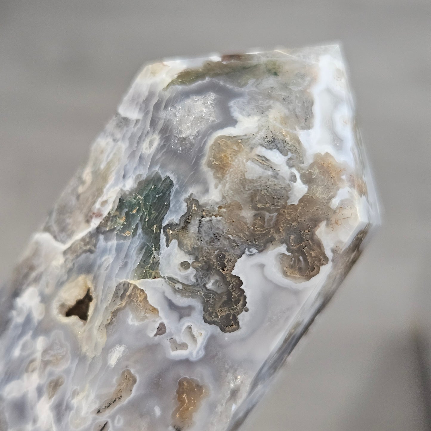 🌿 Woodland Moonlight | 116g