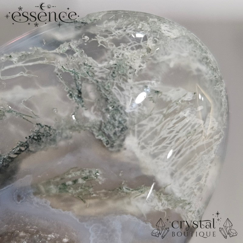 Moss Agate Palm Stone