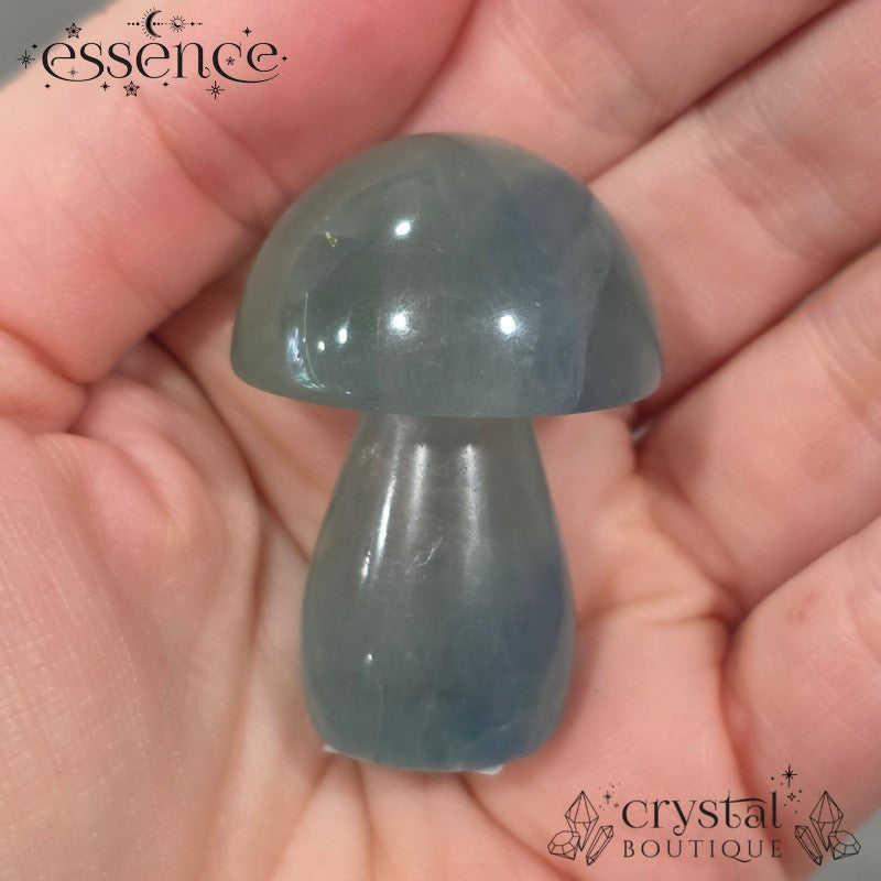 Fluorite Mushrooms