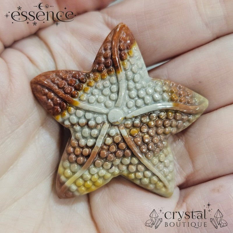 Alashan Agate Starfish