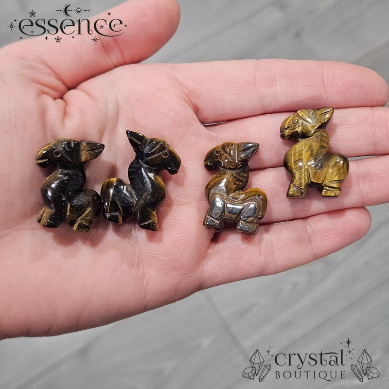 Tigers Eye Donkeys