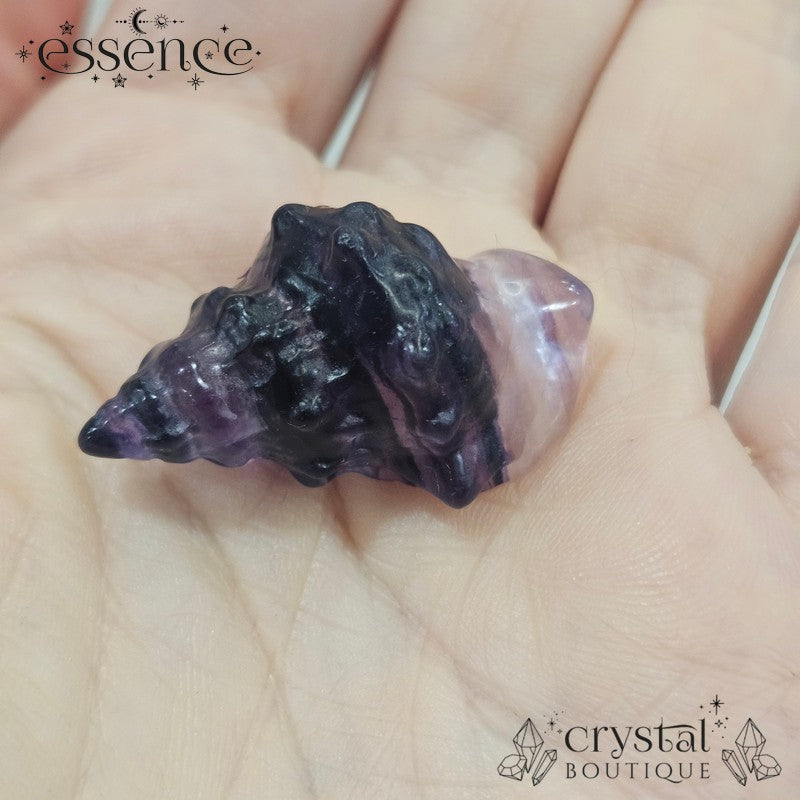 Fluorite Shell Carvings