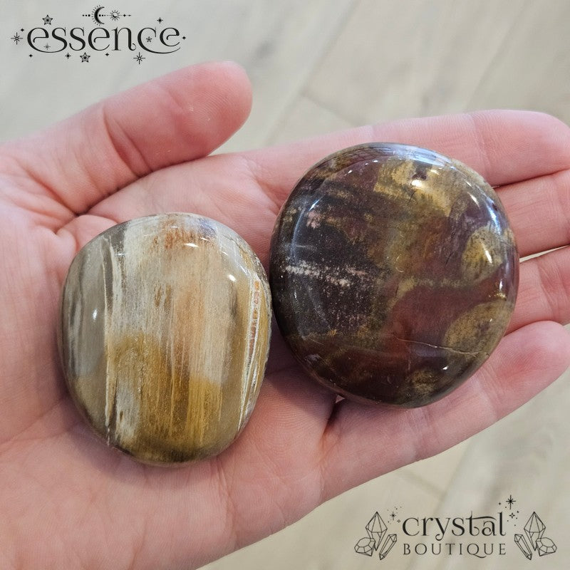 Petrified Wood Palm Stones