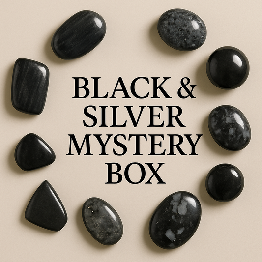 Black Silver Protection & Grounding Box-  Strength • Stability • Protection