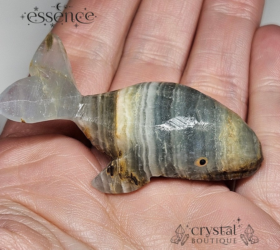 Blue Banded Calcite Whale