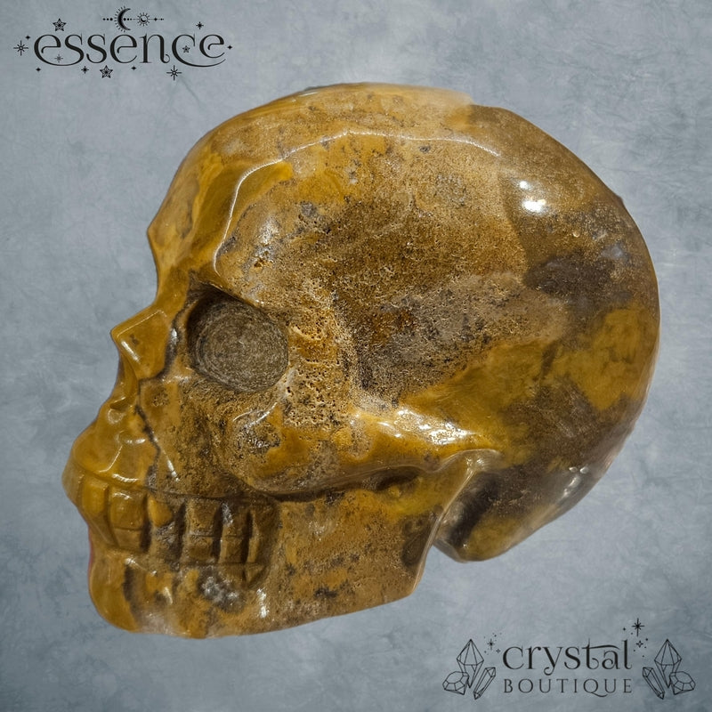 Ocean Jasper and Moss Agate Skull