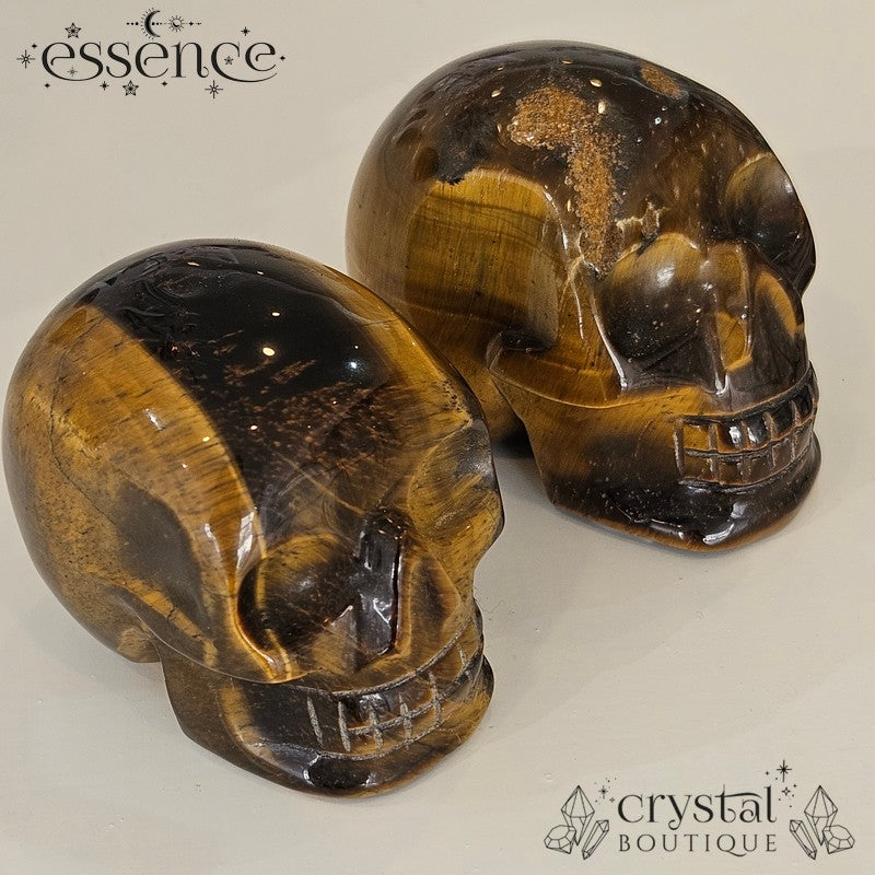Tigers eye Skulls