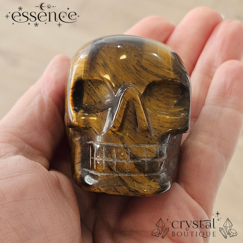 Tigers eye Skulls