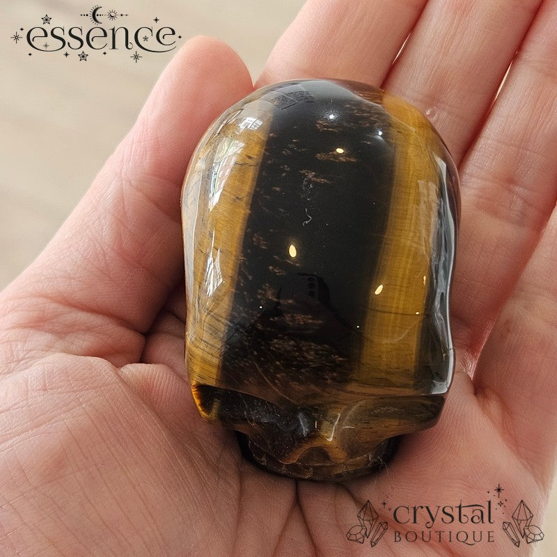 Tigers eye Skulls