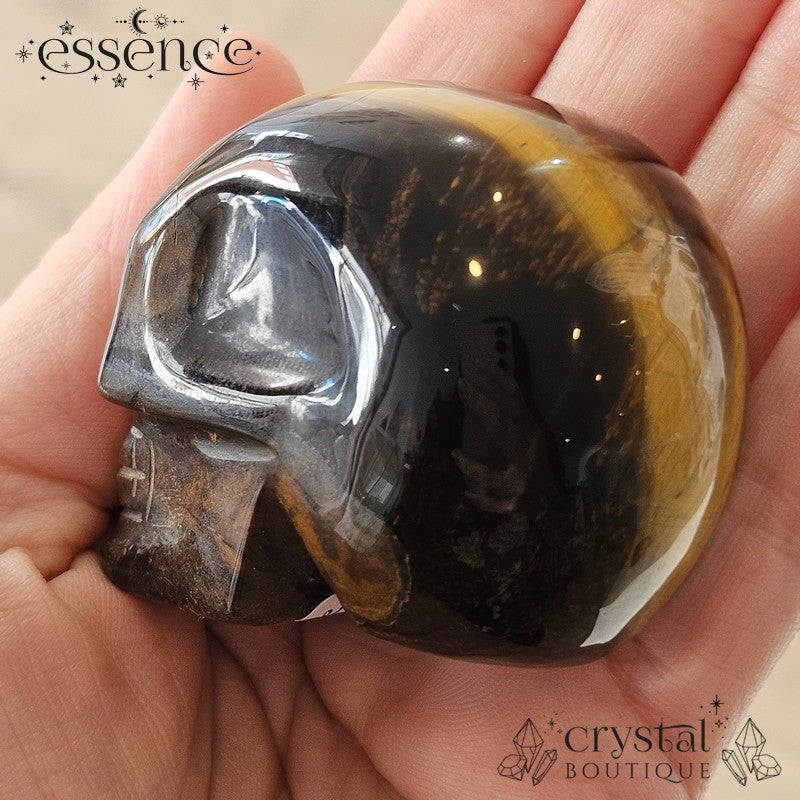 Tigers eye Skulls