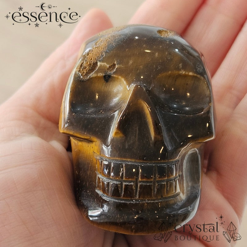Tigers eye Skulls