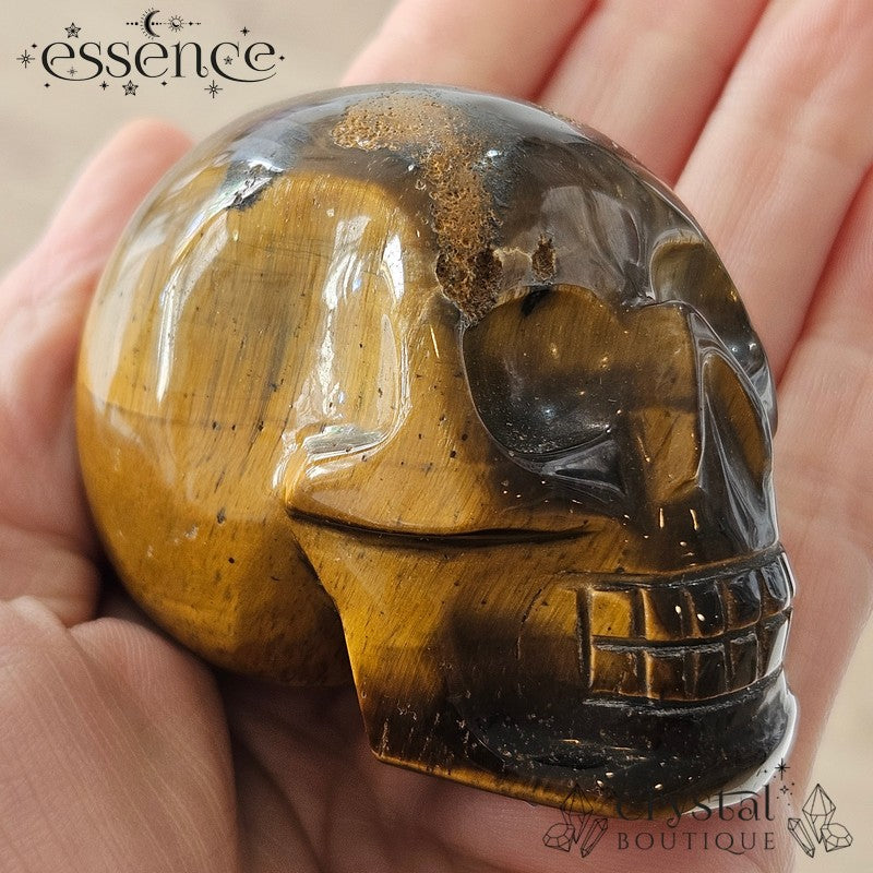 Tigers eye Skulls