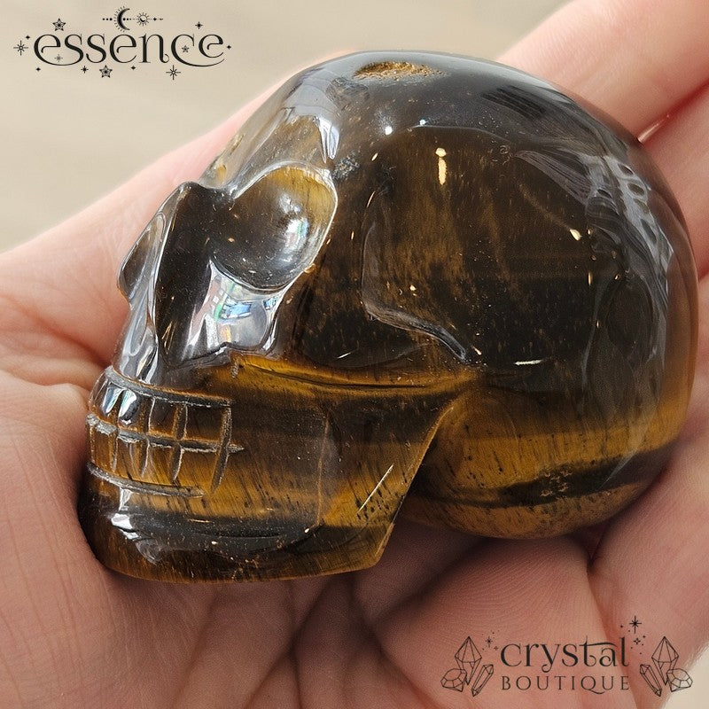 Tigers eye Skulls
