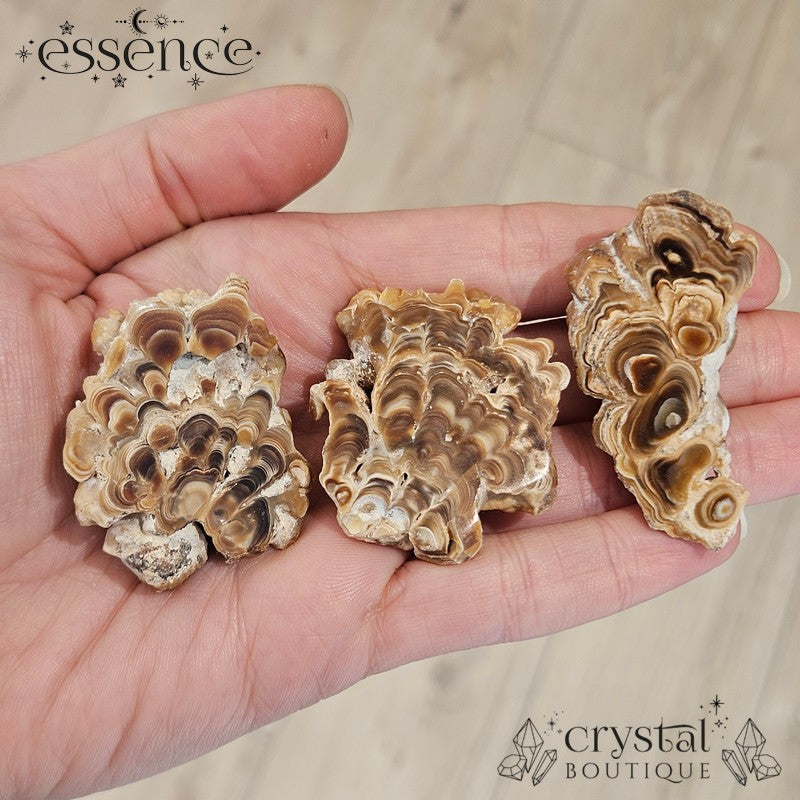 Aragonite Stalactite