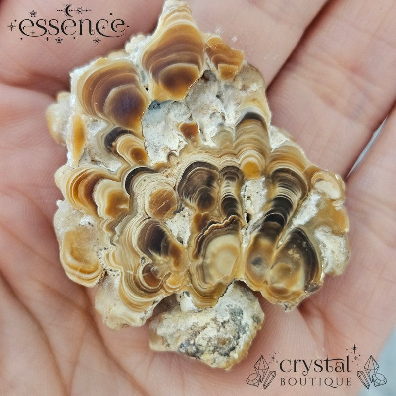 Aragonite Stalactite