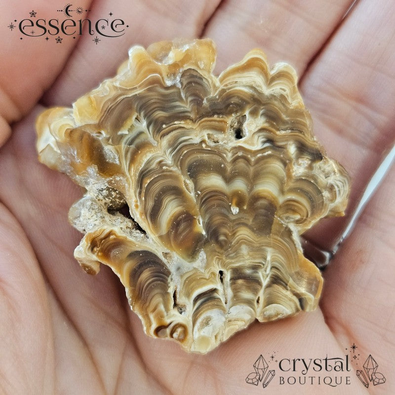Aragonite Stalactite