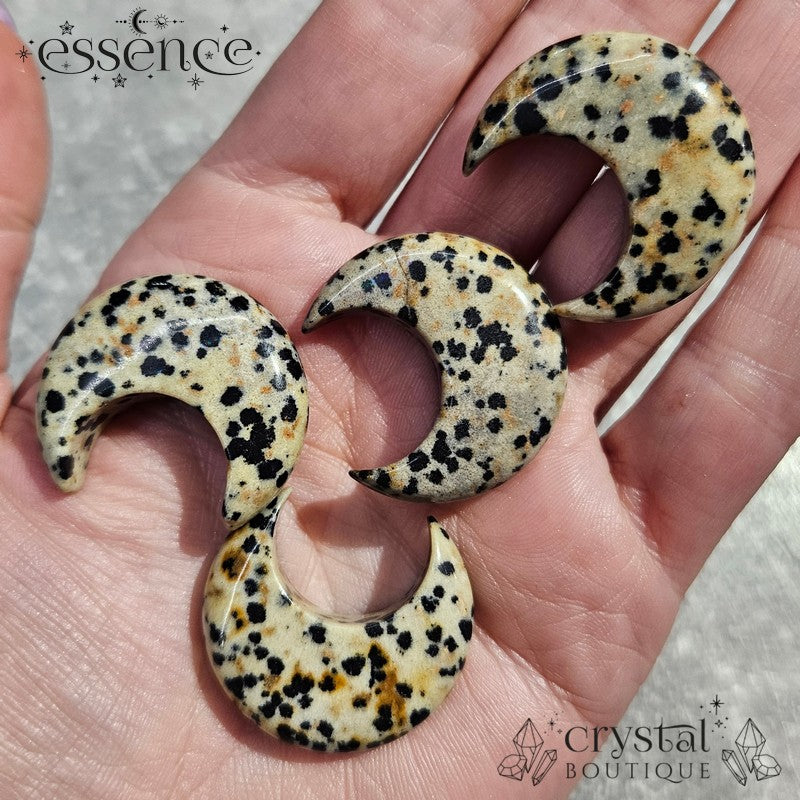 Dalmatian Jasper Moon