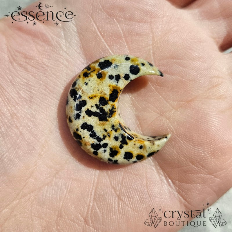 Dalmatian Jasper Moon