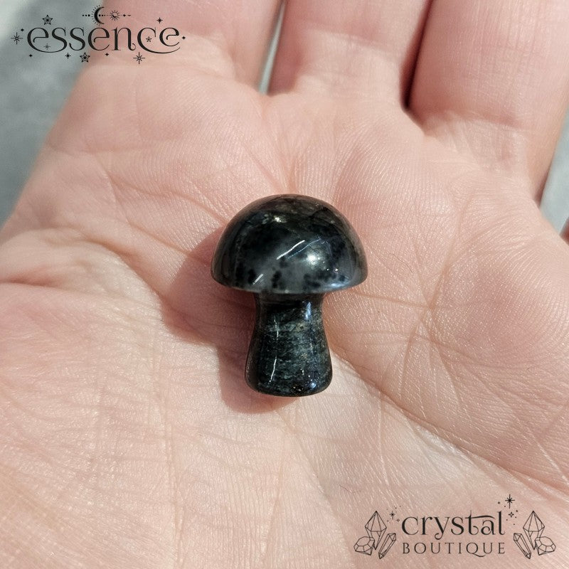 Earth Element Crystal Gift Set (Online Exclusive)