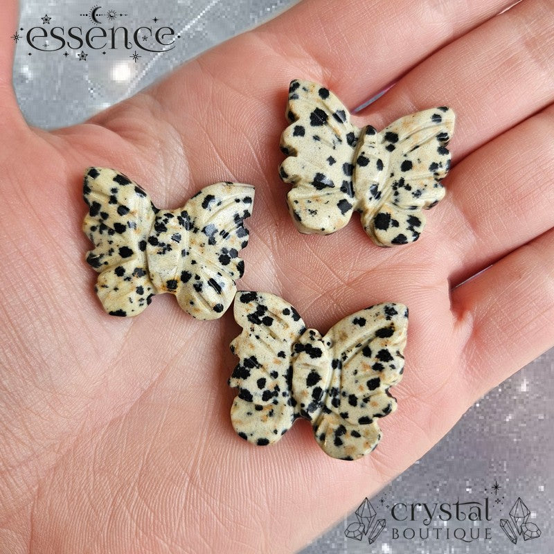 Dalmatian Jasper Butterfly