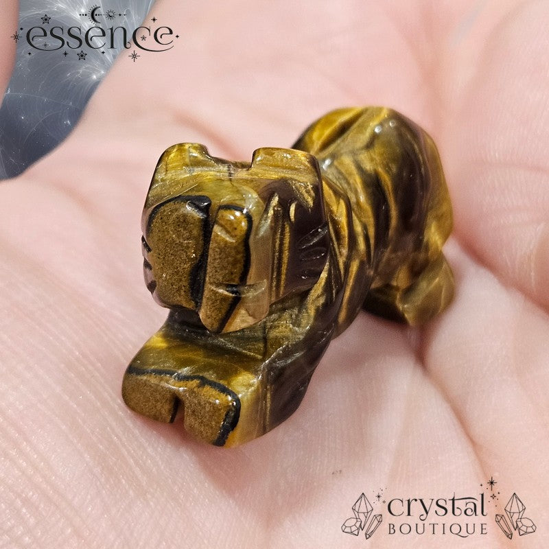 Tigers Eye Tiger