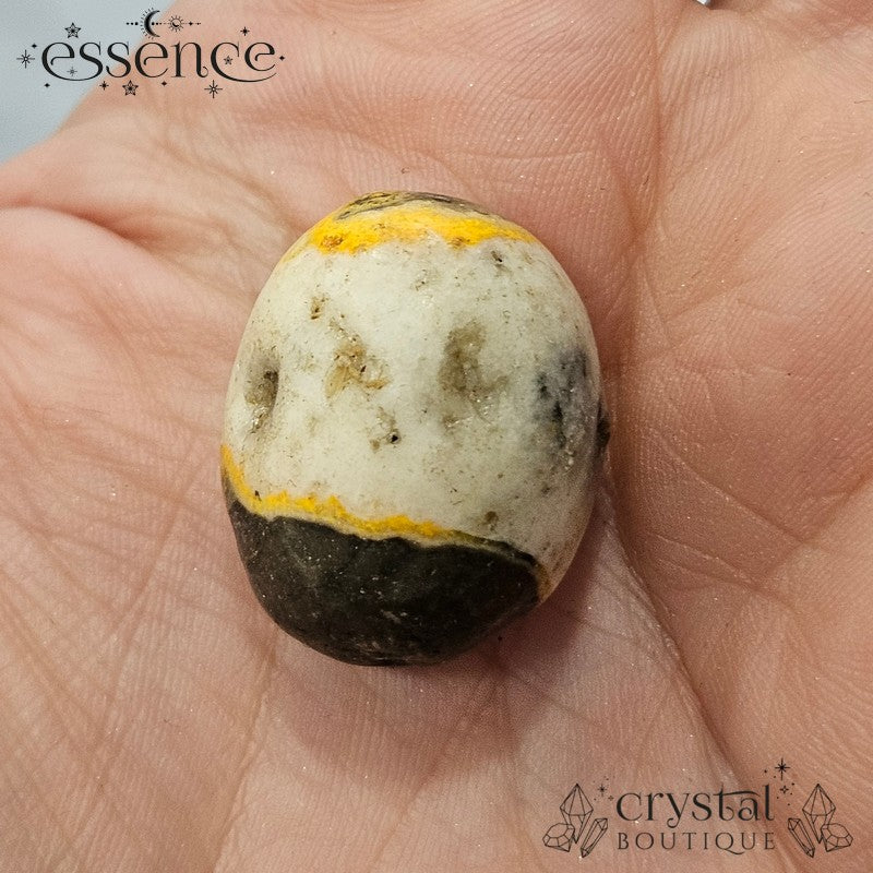 Bumble Bee Japer Tumbled Stones