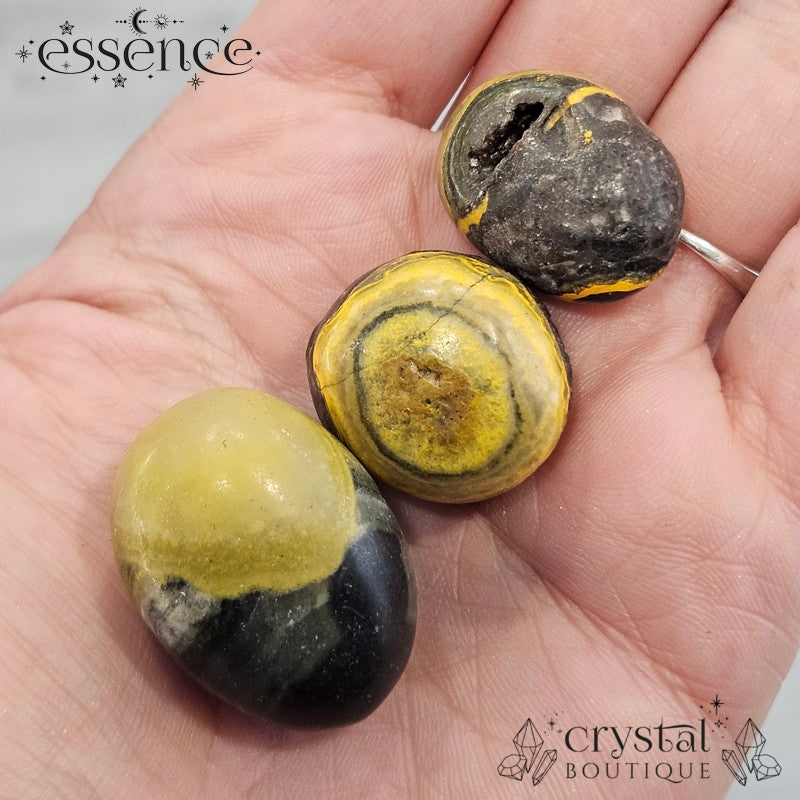 Bumble Bee Japer Tumbled Stones