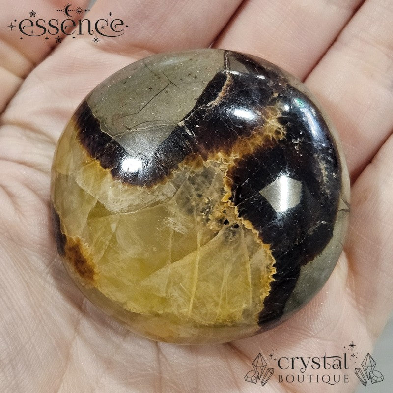 Septarian Palm Stone 94gms