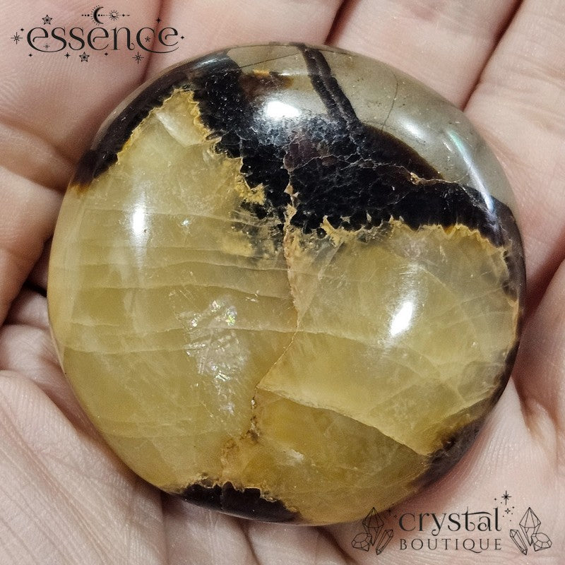 Septarian Palm Stone 94gms