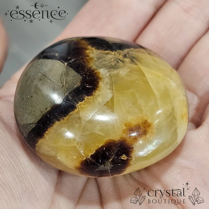 Septarian Palm Stone 94gms