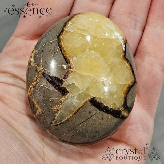 Septarian Palm Stone 116gms