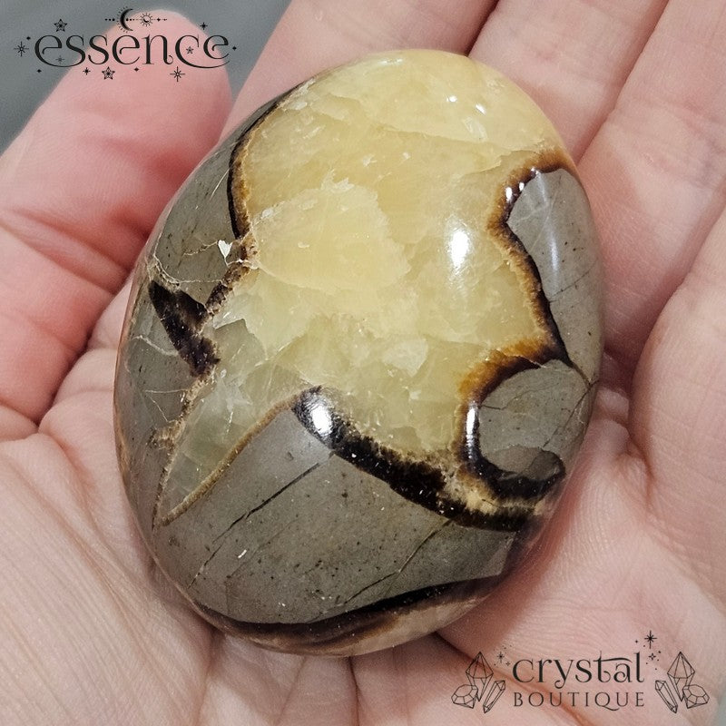 Septarian Palm Stone 116gms