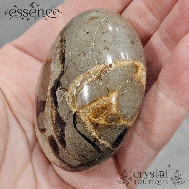 Septarian Palm Stone 116gms