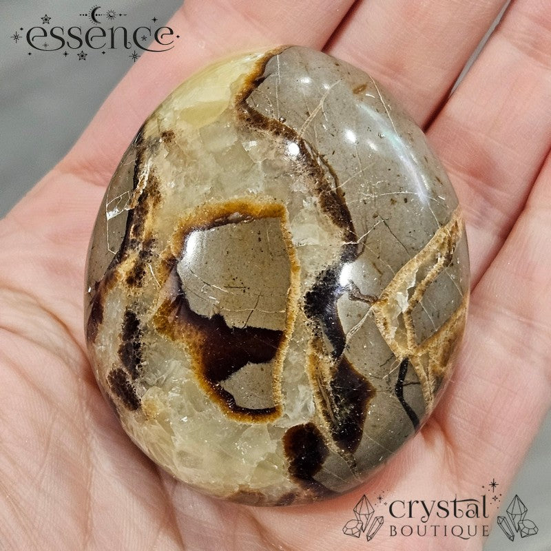 Septarian Palm Stone 116gms