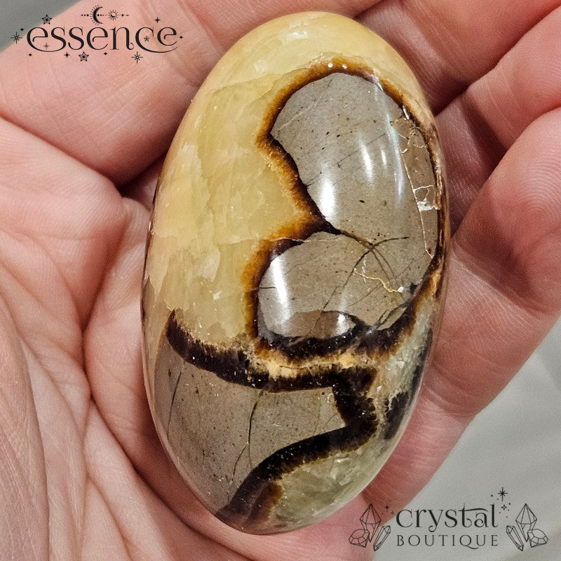 Septarian Palm Stone 116gms