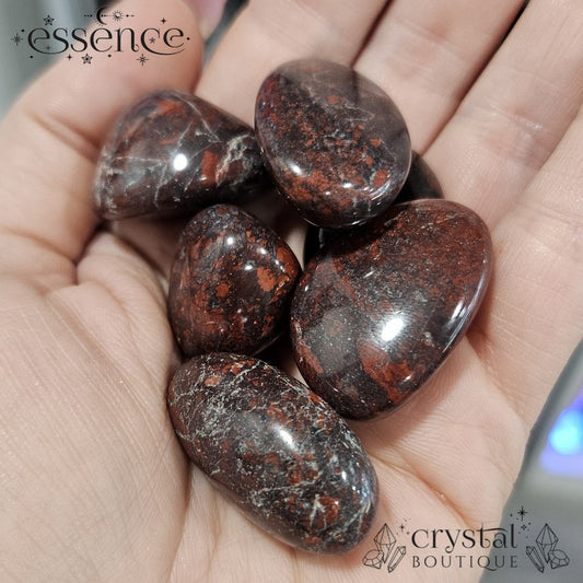 Chicken Bloodstone Tumbled Stones