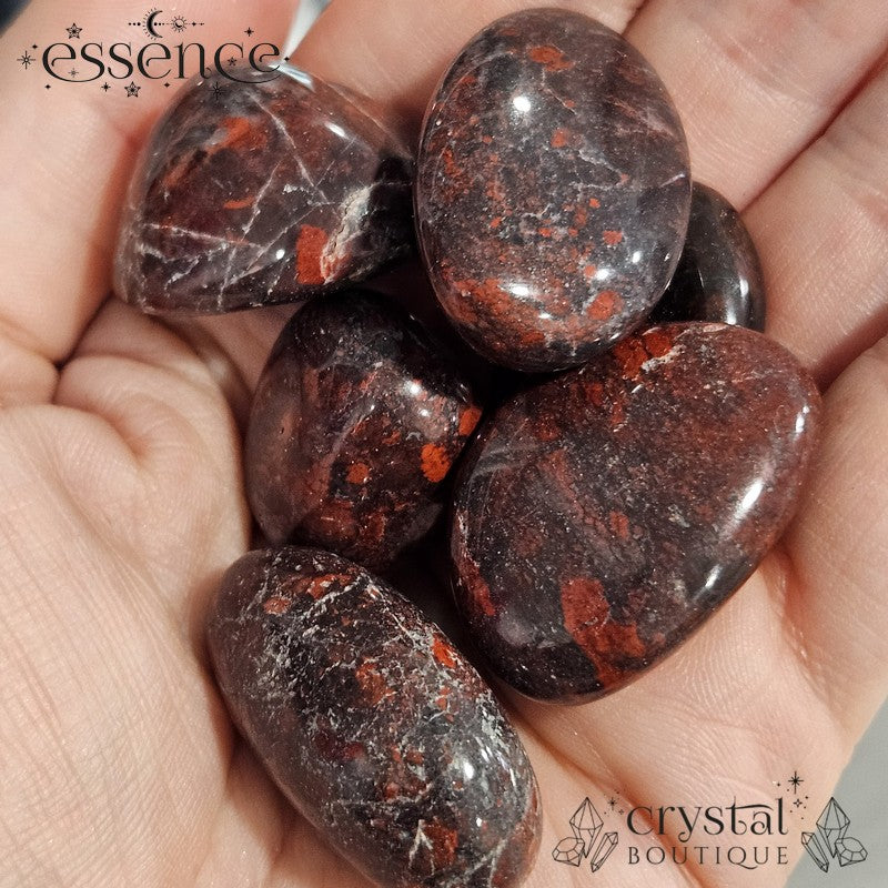 Chicken Bloodstone Tumbled Stones