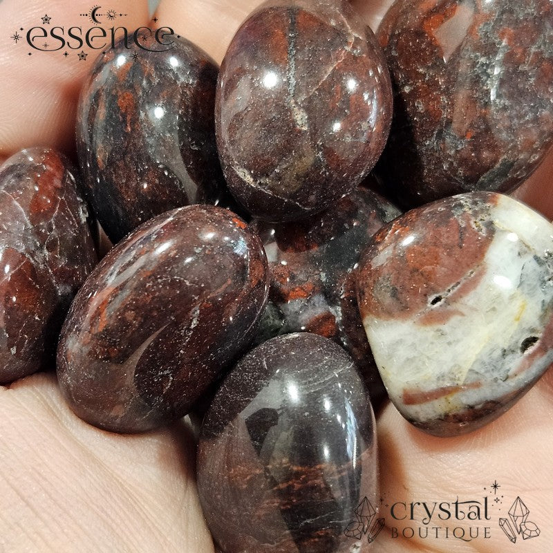 Chicken Bloodstone Tumbled Stones