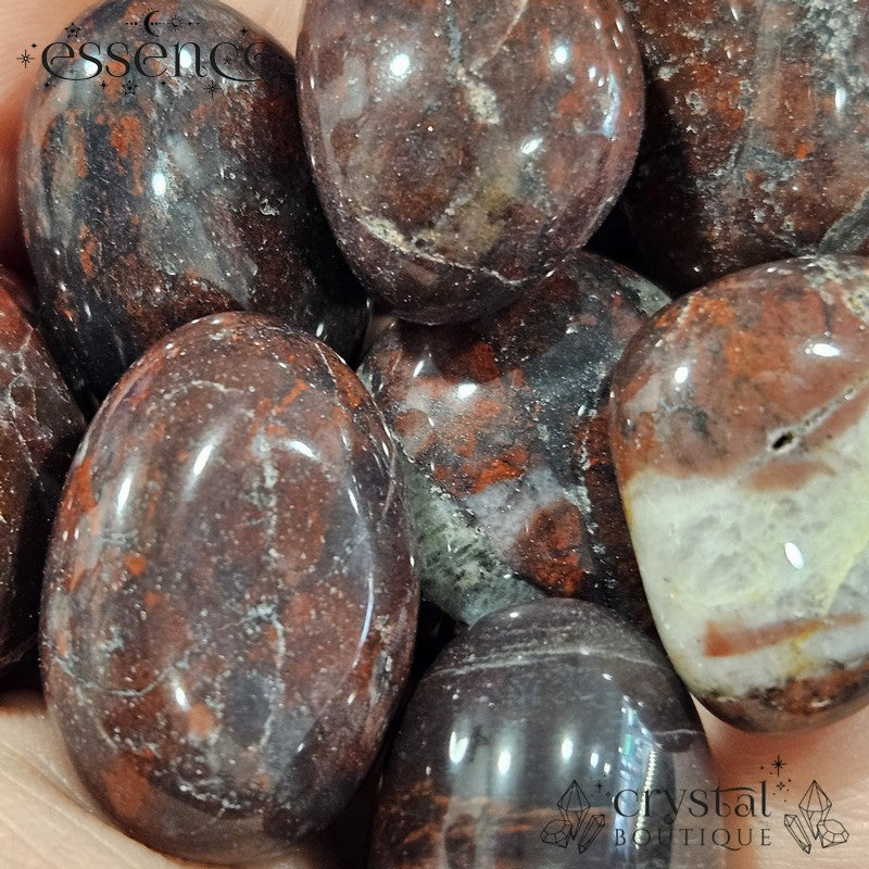 Chicken Bloodstone Tumbled Stones