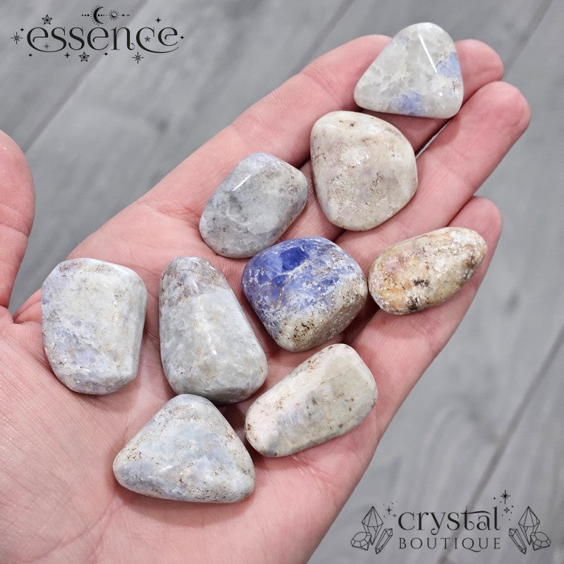 Tumbled Hackmanite Hackmanite Tumbled Stone β essence crystal boutique
