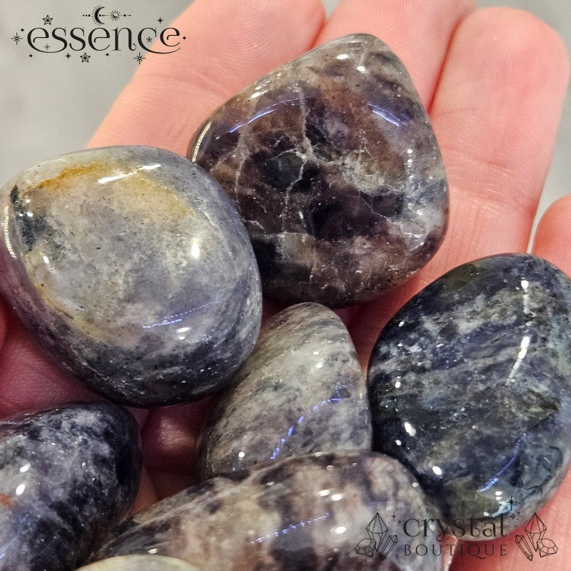 Iolite Tumbled Stone (india)